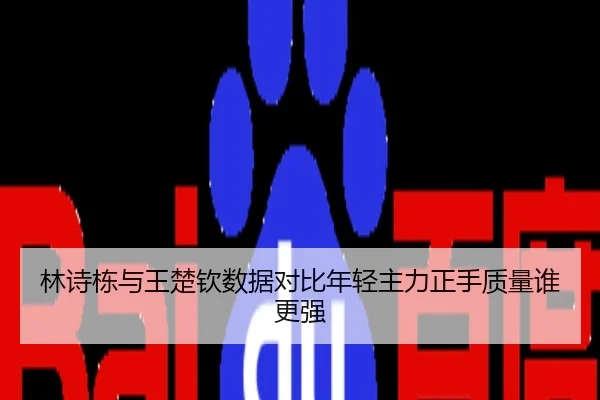 林诗栋与王楚钦数据对比年轻主力正手质量谁更强
